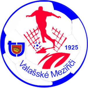 TJ Valašské Meziříčí